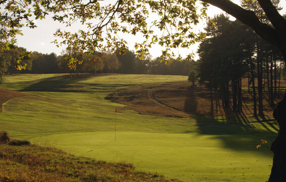 Royal Ashdown Forest Golf Club