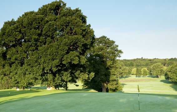 Ashford Golf Club